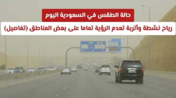 تحذير للأرصاد.. رياح نشطة تسبب انعدام الرؤية في عدة مناطق سعودية